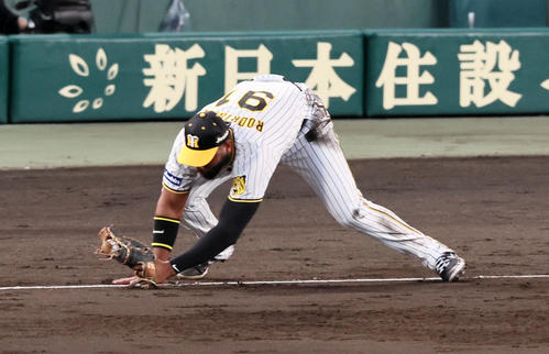 阪神対DeNA 4回表DeNA無死、ロドリゲスは桑原の打球を好捕し一ゴロとする（撮影・加藤哉）