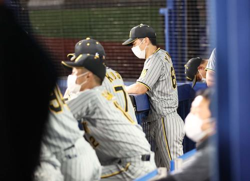 DeNA対阪神　8回、矢野監督はリードを許し視線を落とす（撮影・上田博志）