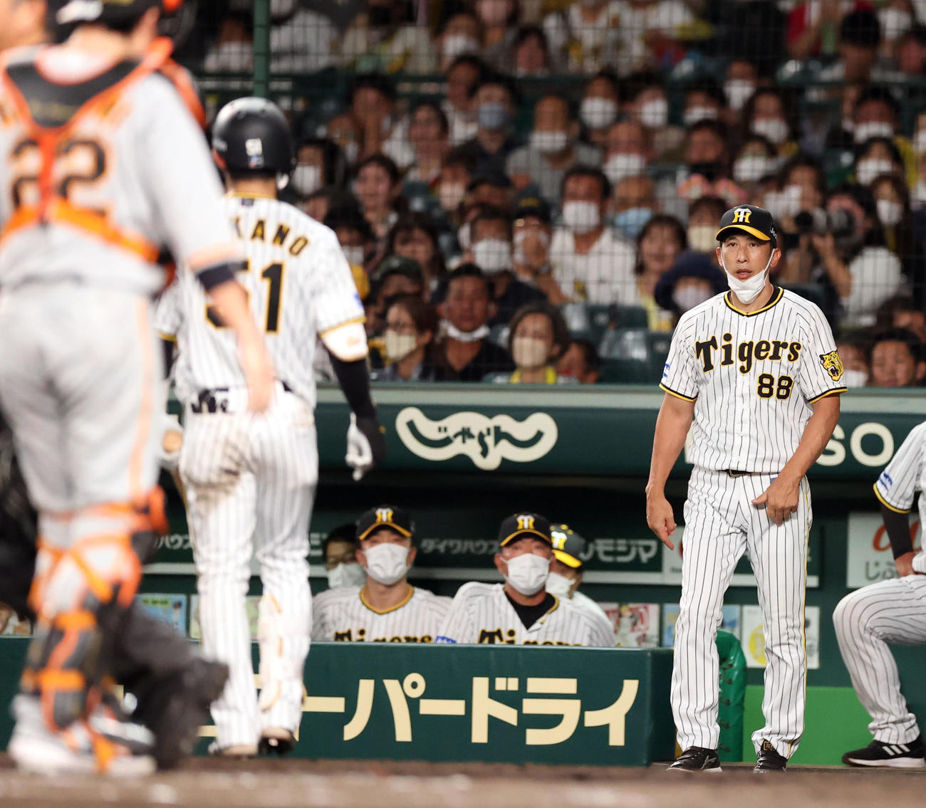 阪神対巨人　8回裏阪神1死、中野（左）が空振り三振した後、確認のため、ベンチを出る矢野監督（撮影・狩俣裕三）