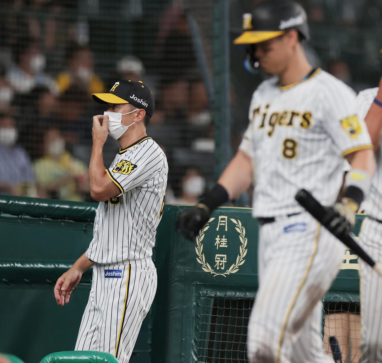阪神対ヤクルト　7回裏、選手交代を告げベンチへ戻る阪神矢野監督。右は空振り三振に倒れた佐藤輝（撮影・前田充）