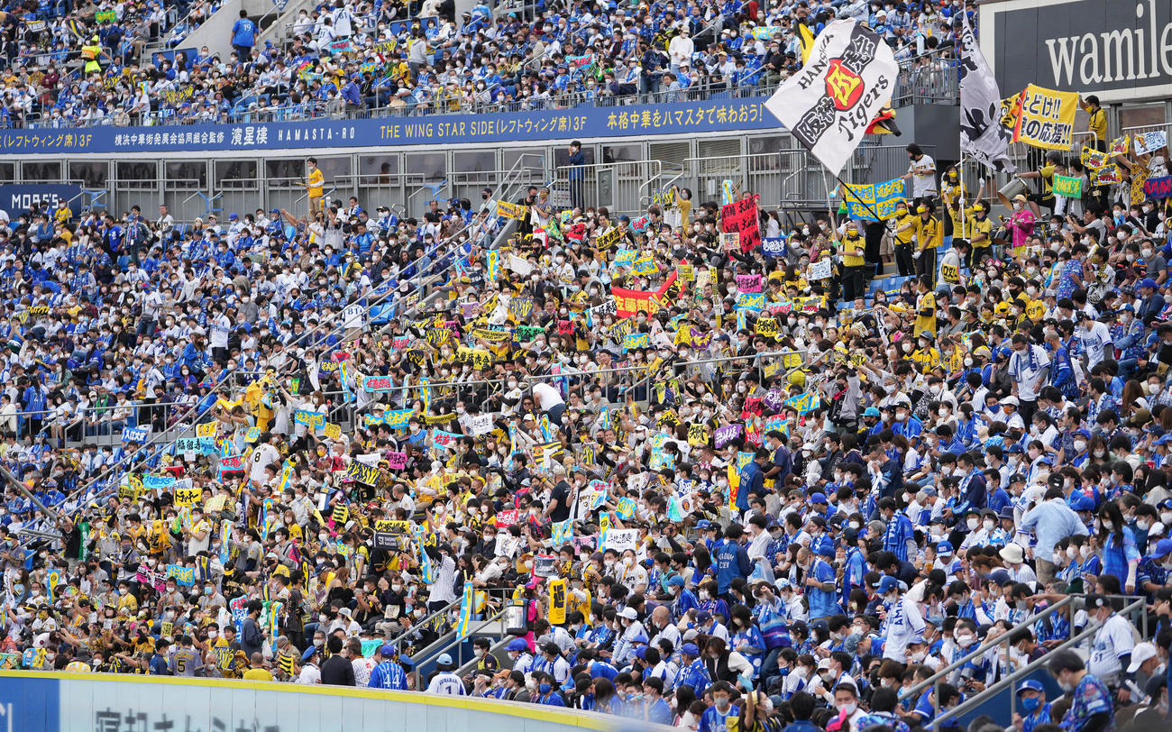 DeNA対阪神　7回表前、応援する阪神ファン（撮影・鈴木みどり）