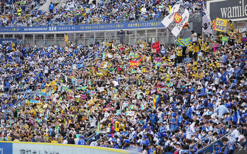 DeNA対阪神　7回表前、応援する阪神ファン（撮影・鈴木みどり）