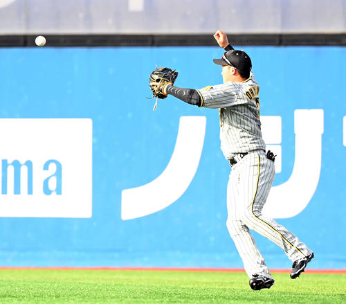 DeNA対阪神　3回裏DeNA1死一塁、楠本の右前打をファンブルする大山（撮影・たえ見朱実）
