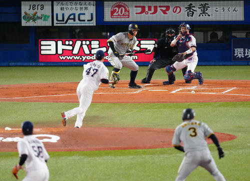 ヤクルト対阪神　2回表阪神無死一、二塁、送りバント失敗する佐藤輝（撮影・江口和貴）