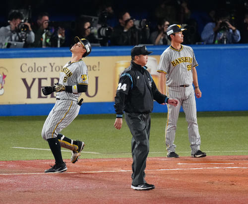 ヤクルト対阪神　2回表阪神無死一、二塁、送りバント失敗した佐藤輝（左）（撮影・江口和貴）