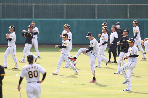 先頭に立ちウオーミングアップする、左から阪神西純、伊藤将、中野、佐藤輝、大山。手前は岡田監督（撮影・前田充）