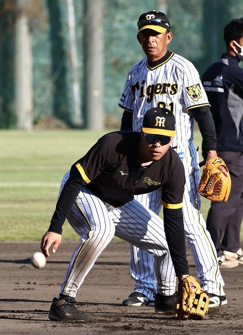馬場コーチ（右）の指導を受けながらノックを受ける阪神佐藤輝（2022年11月16日撮影）