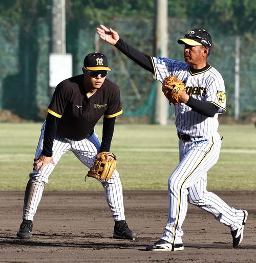 馬場コーチ（右）の指導を受ける阪神佐藤輝（2022年11月16日撮影）