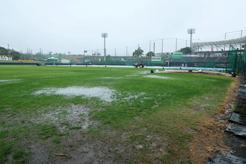 夜半からの雨が降り続き芝生にも水たまりが出来た宜野座村野球場（撮影・加藤哉）