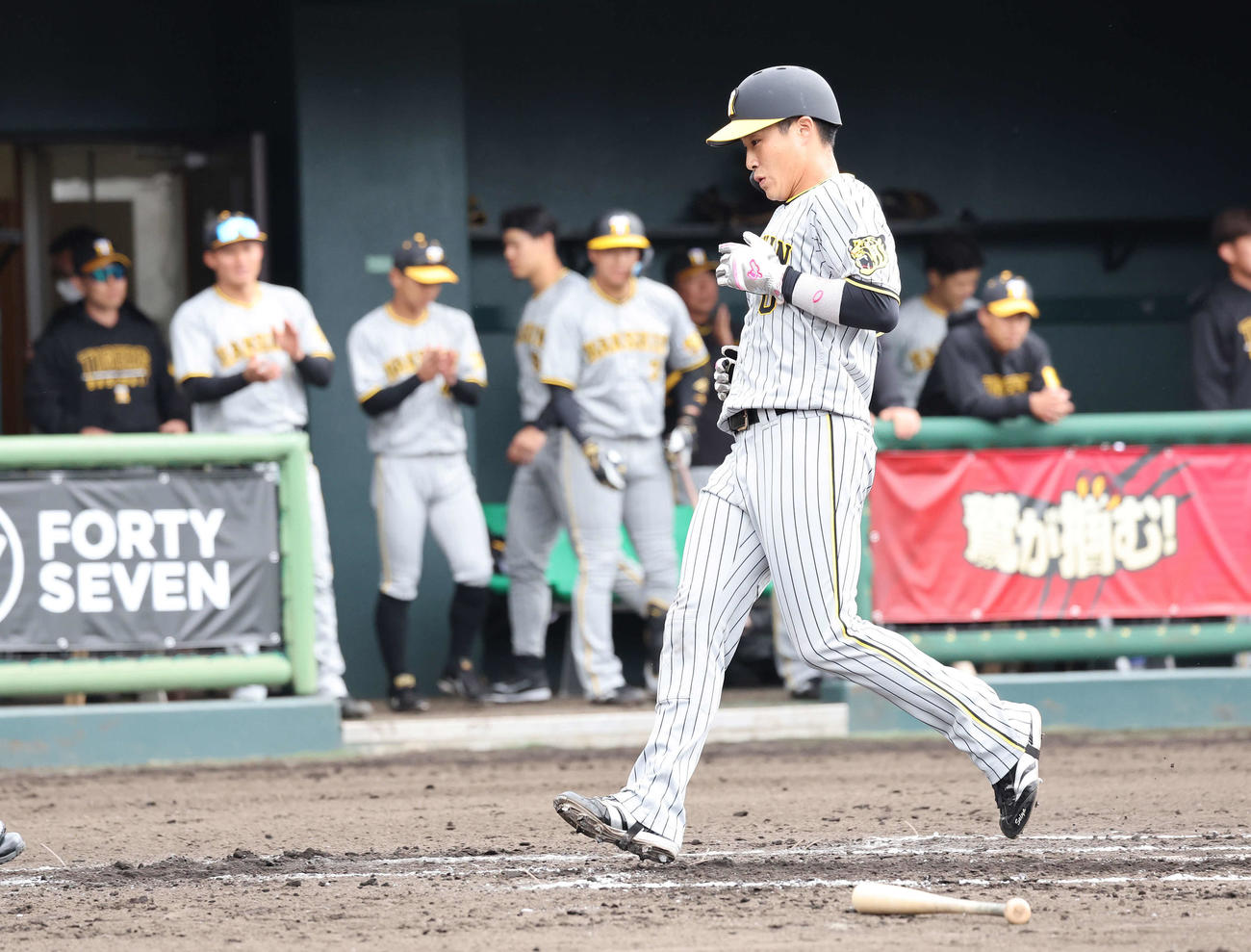楽天対阪神　2回表阪神無死一、二塁、中野の左前安打で楽天正隨が球をこぼす間に木浪が生還（撮影・鈴木正人）