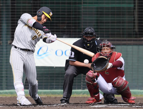 練習試合・楽天対阪神　2回表阪神無死、木浪は中前打を放つ（撮影・上山淳一）