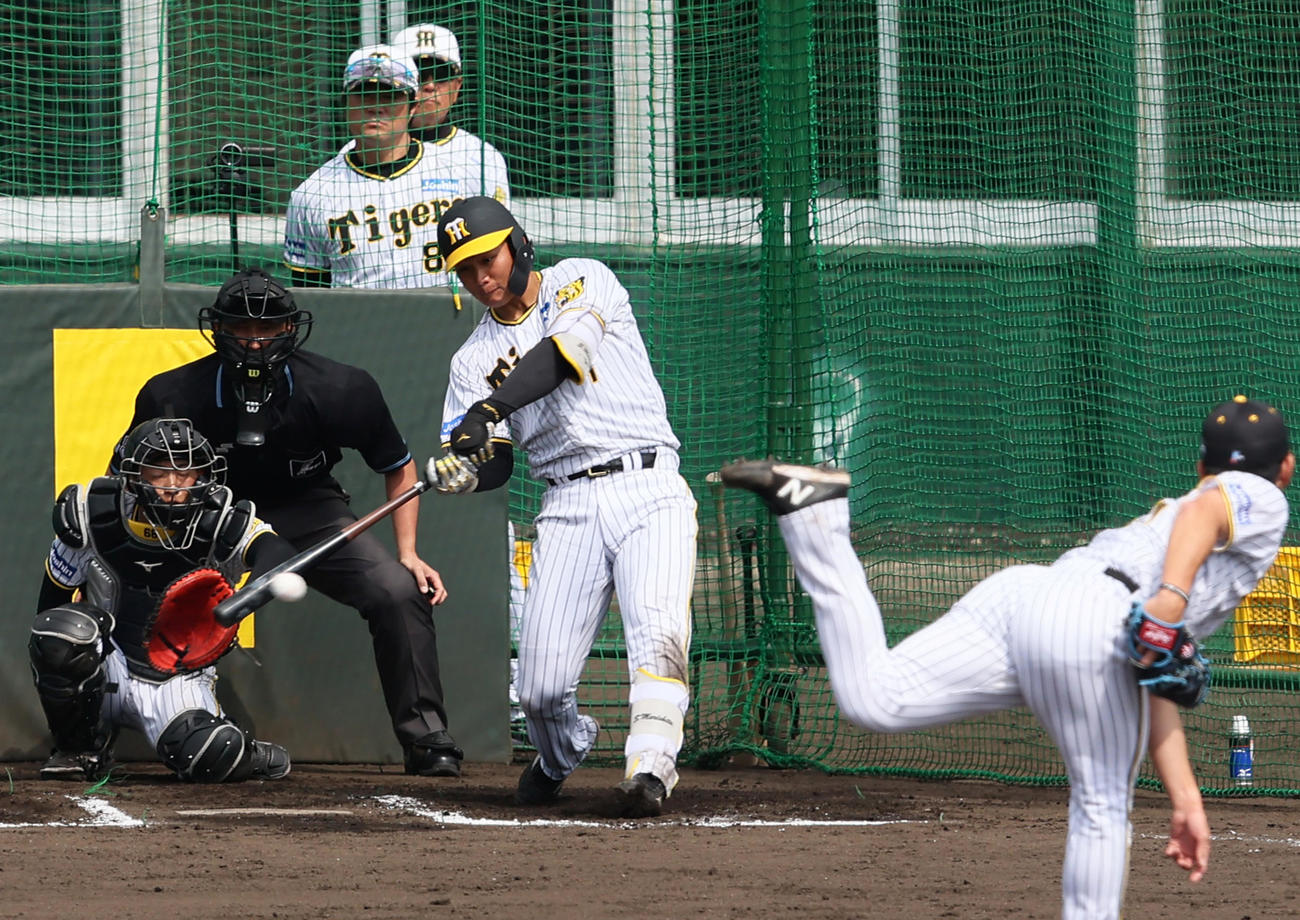 フリー打撃で伊藤将（手前）から左前打を放つ森下（撮影・上山淳一）