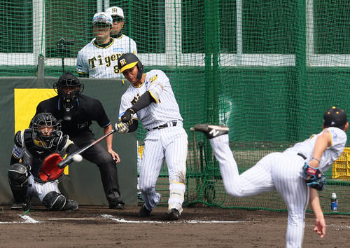 フリー打撃で伊藤将（手前）から左前打を放つ森下（撮影・上山淳一）