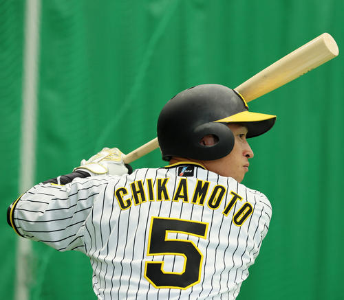 阪神近本光司（2023年2月6日撮影）