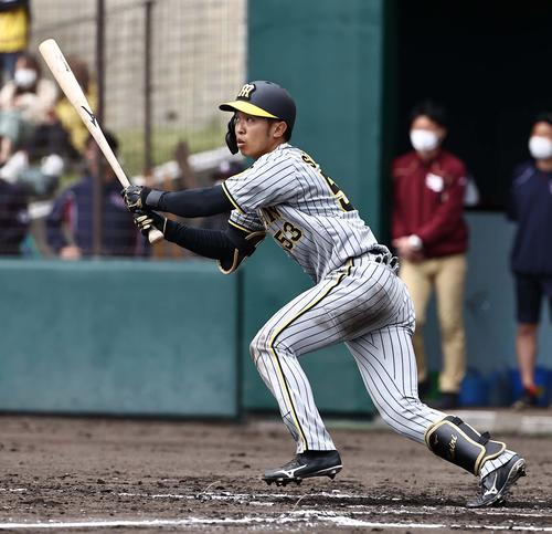 阪神島田海吏（2023年2月15日撮影）