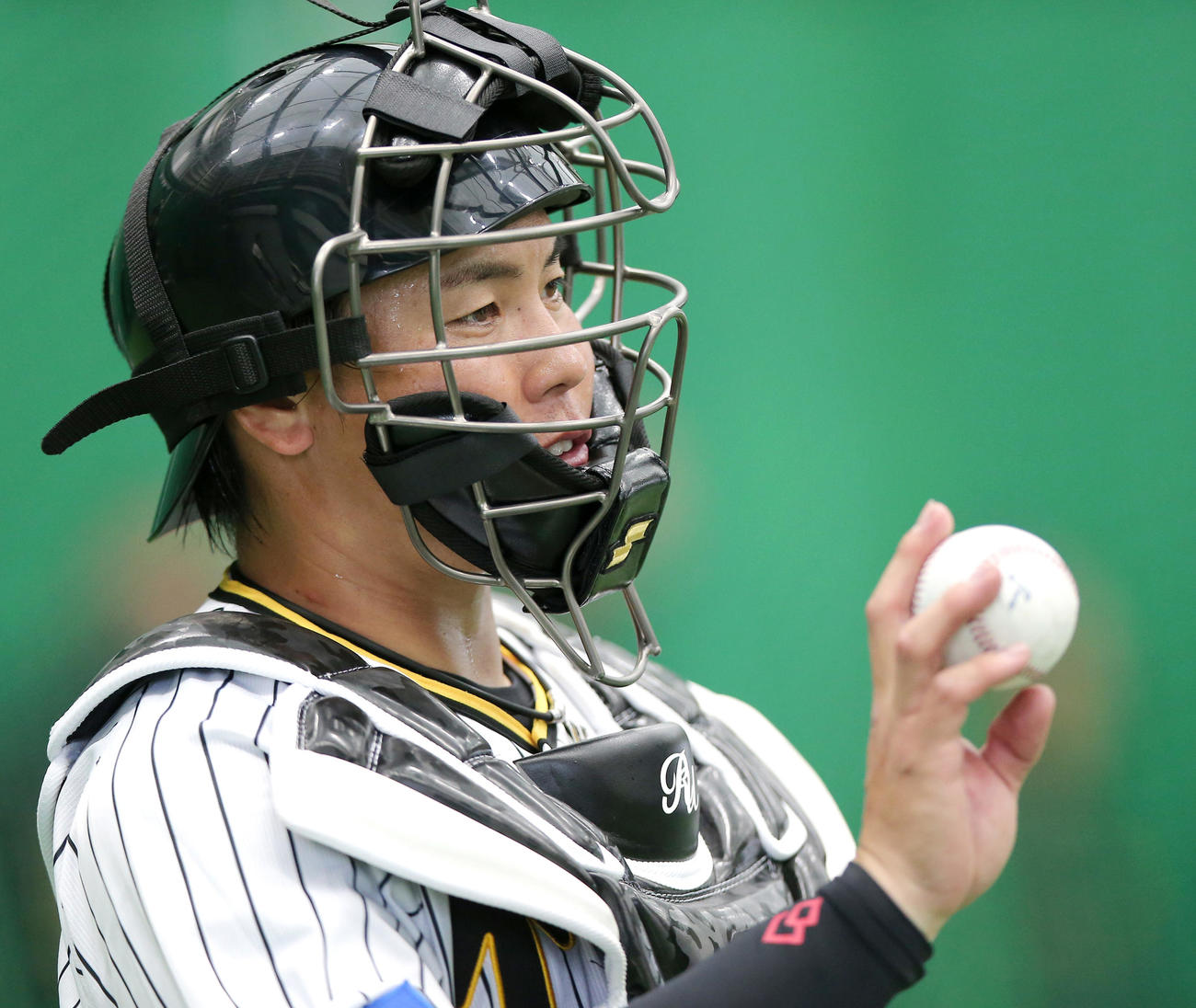 阪神梅野隆太郎（撮影2023年2月5日撮影）