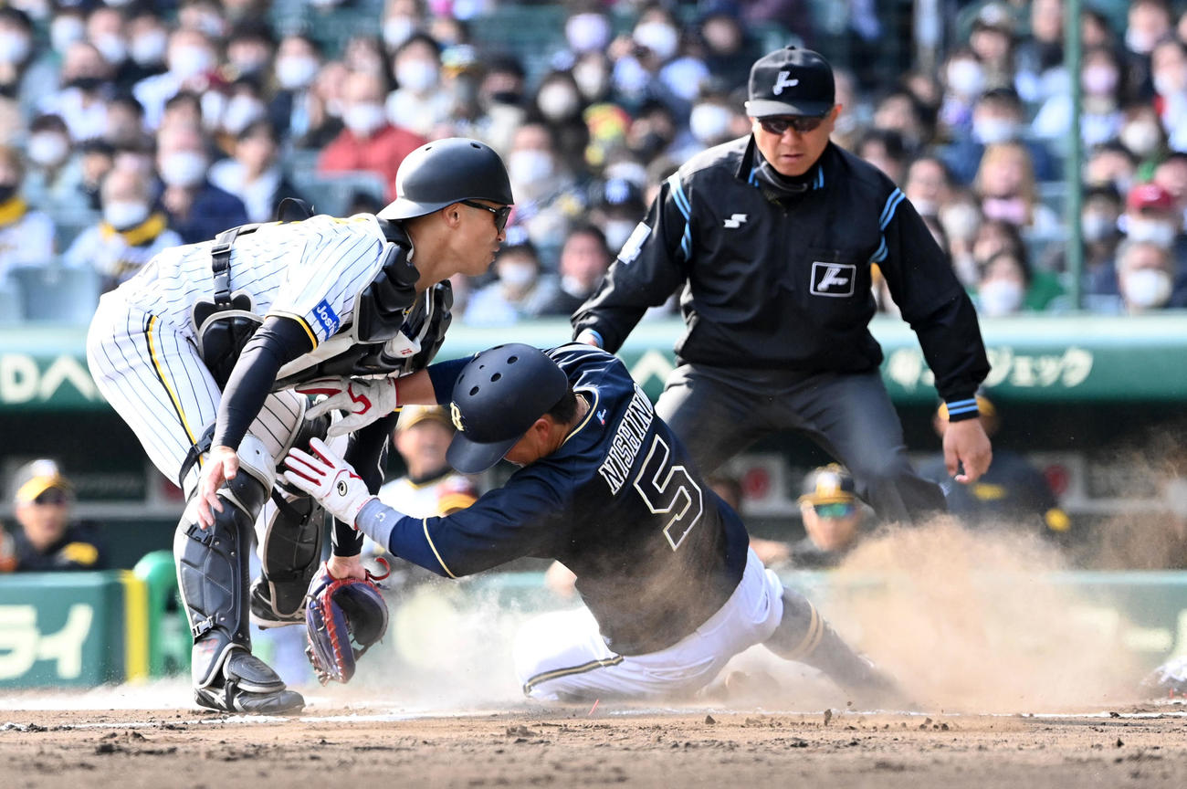 阪神対オリックス　6回表オリックス1死一塁、頓宮の左適時二塁打で生還する西野。捕手坂本（撮影・前岡正明）