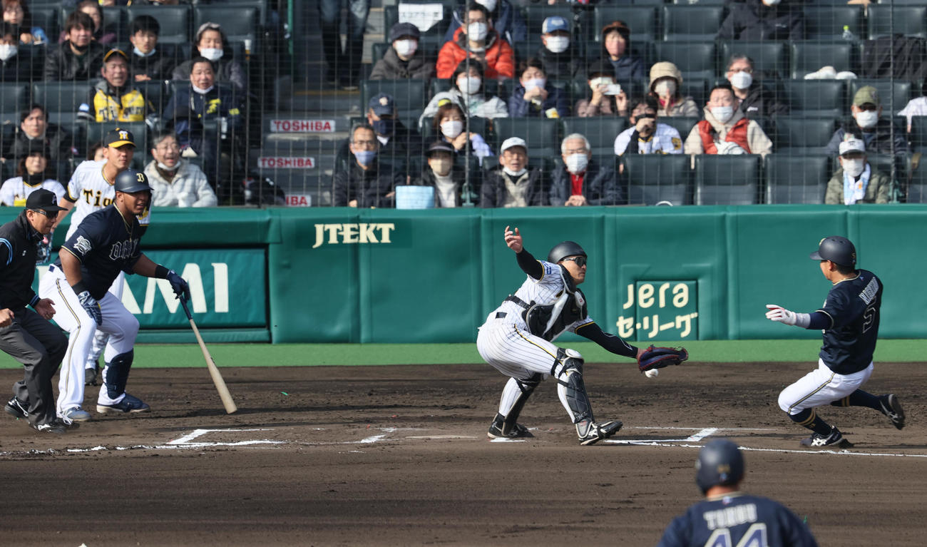 オープン戦・阪神対オリックス　6回表オリックス1死一塁、頓宮の左二塁打で一走西野（右）が生還する。捕手坂本（撮影・上山淳一）