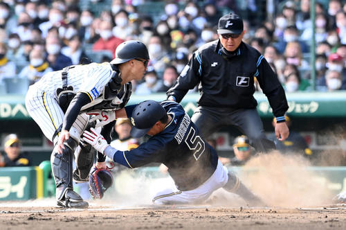 阪神対オリックス　6回表オリックス1死一塁、頓宮の左適時二塁打で生還する西野。捕手坂本（撮影・前岡正明）