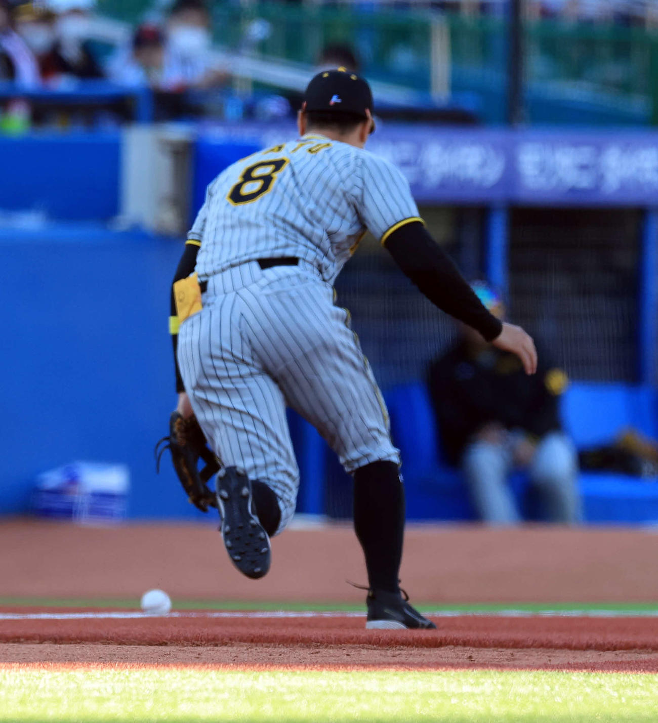 ヤクルト対阪神　8回裏ヤクルト2死一塁、三ツ俣大樹の打球をファンブルする佐藤輝（撮影・浅見桂子）