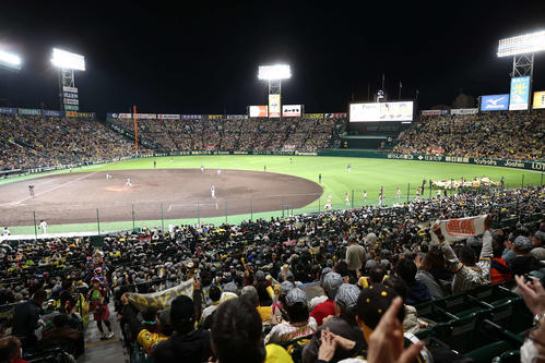 阪神対ヤクルト　大勢のファンか応援する甲子園球場（撮影・上田博志）