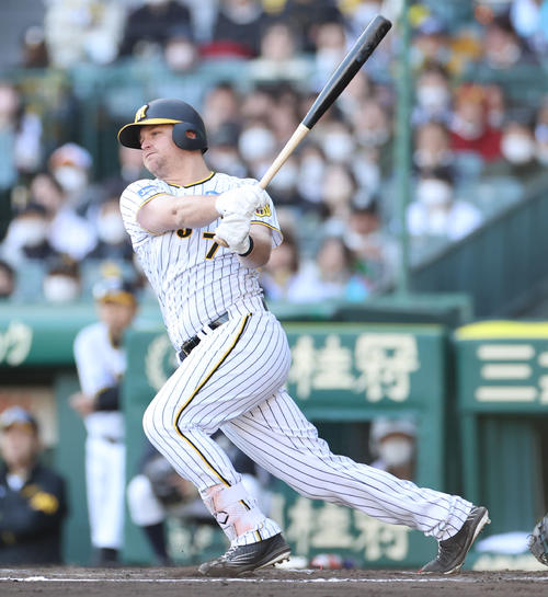 阪神対ヤクルト　8回裏阪神2死、ノイジーは三塁強襲安打を放つ（撮影・清水貴仁）
