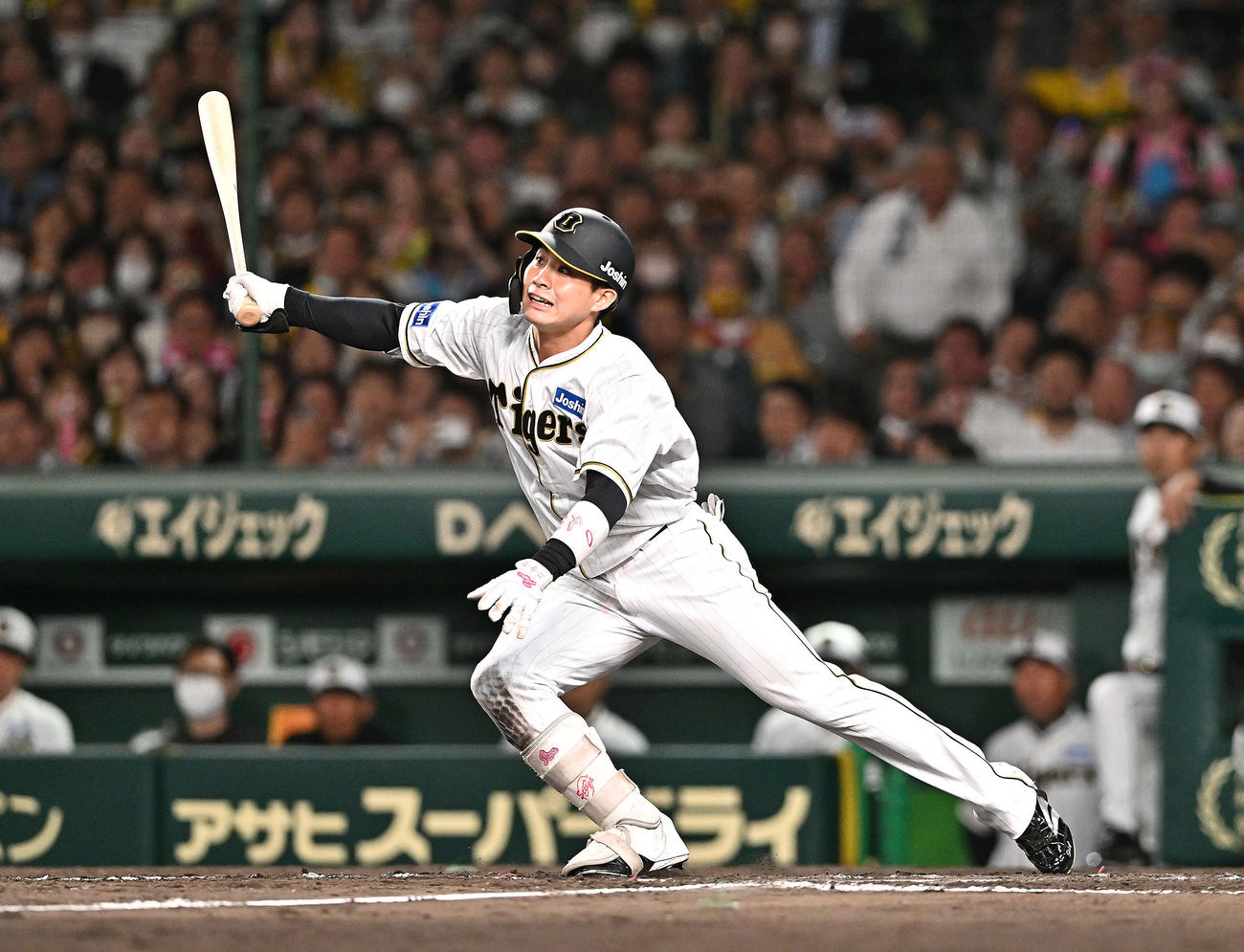 阪神木浪聖也（2023年5月26日撮影）