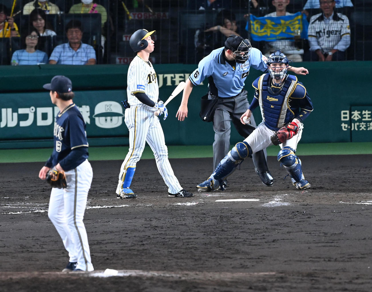 阪神対オリックス　8回裏阪神1死、近本は見逃し三振に倒れる。投手山本（撮影・前岡正明）