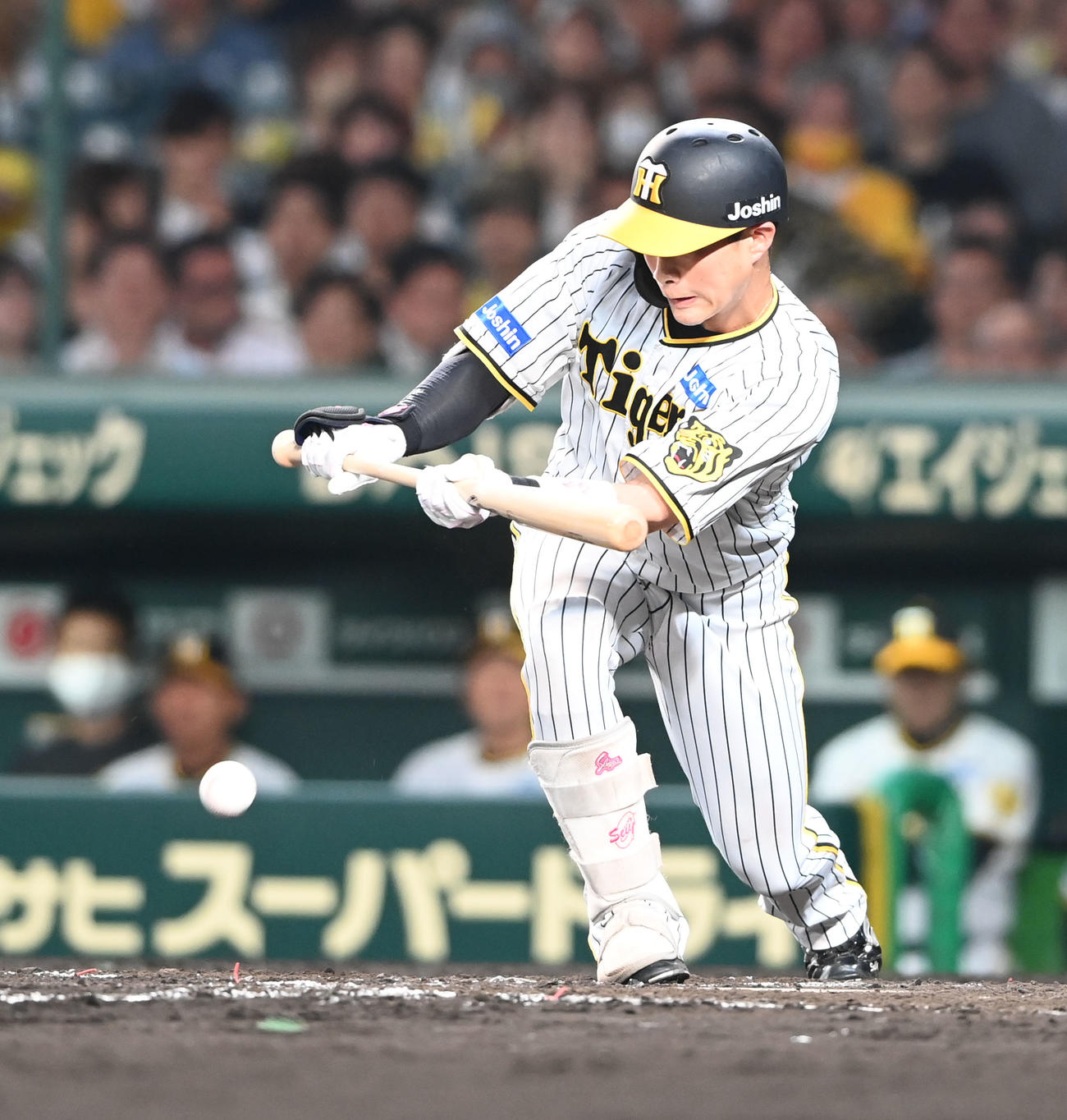 阪神対オリックス　4回裏阪神無死一塁、投前に犠打を決める木浪（撮影・和賀正仁）