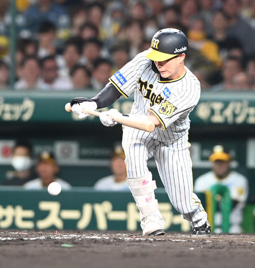阪神対オリックス　4回裏阪神無死一塁、投前に犠打を決める木浪（撮影・和賀正仁）