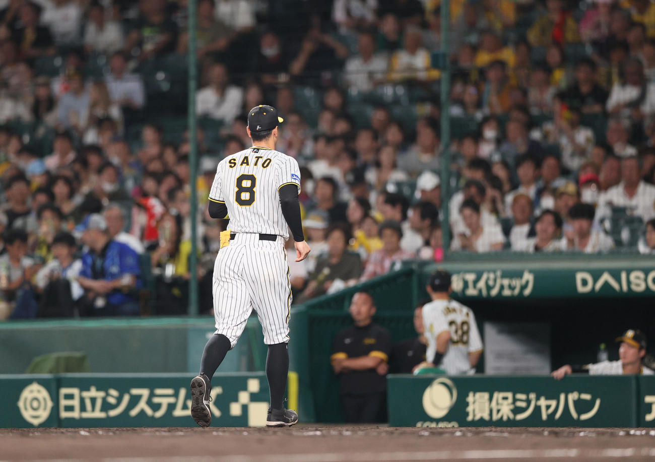阪神対DeNA 7回表DeNA2死、三塁手佐藤輝は交代となりベンチへ引き揚げる（撮影・上山淳一）