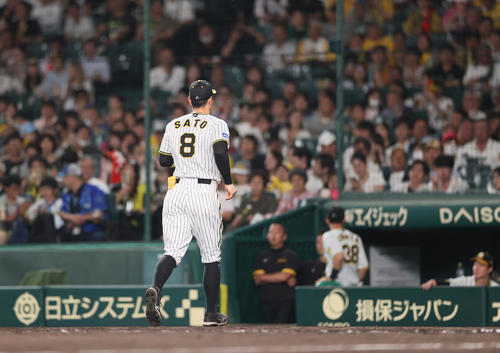阪神対DeNA 7回表DeNA2死、三塁手佐藤輝は交代となりベンチへ引き揚げる（撮影・上山淳一）