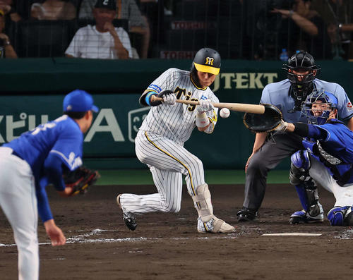 阪神対中日　4回裏阪神無死一塁、木浪は送りバントを決める（撮影・上田博志）