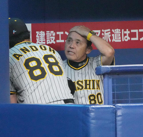 中日対阪神　6回終了、ベンチで安藤投手コーチと言葉を交わす岡田監督（右）（撮影・森本幸一）