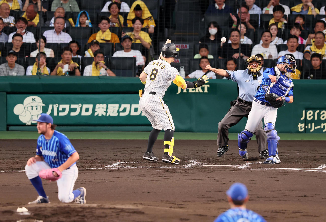 阪神対DeNA 2回裏阪神無死一塁、佐藤輝は三振に倒れ、二盗を試みた大山を伊藤が刺して併殺となる。投手はバウアー（撮影・加藤哉）