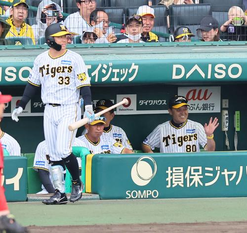 阪神対広島　7回裏阪神1死満塁、糸原をベンチに下げ伊藤将を打席に向かわせる岡田監督（撮影・上田博志）