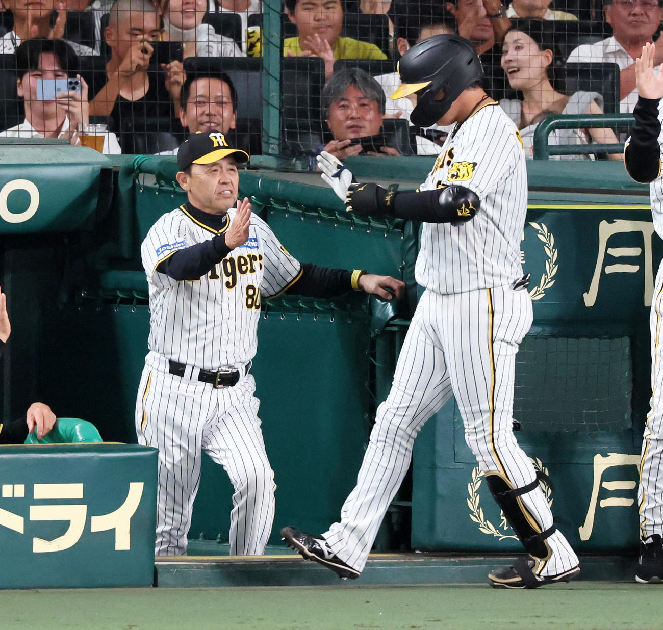 阪神対ヤクルト　4回裏阪神1死二塁、左越え2点本塁打を放った大山をタッチで迎える岡田監督（撮影・加藤哉）