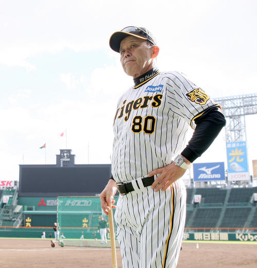 練習を見守る阪神岡田監督（撮影・上山淳一）