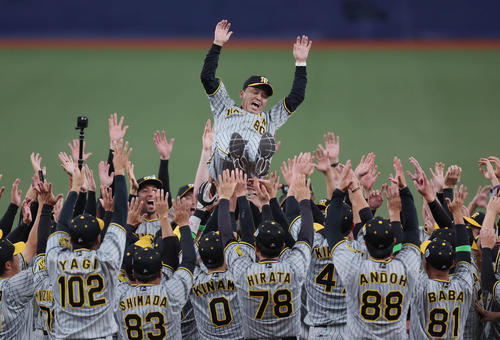 オリックス対阪神　38年ぶりの日本一を達成し、ナインに胴上げされる阪神岡田監督（2023年11月5日撮影）