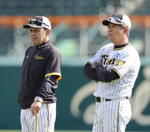 練習を見守る阪神岡田監督（左）と平田ヘッドコーチ（2023年10月24日撮影）