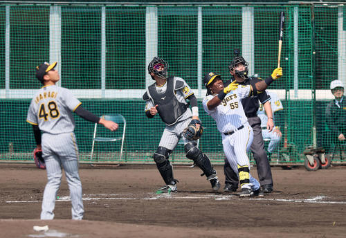 紅白戦　2回裏白組1死一塁、ミエセスは左越え2点本塁打を放つ。投手は茨木（撮影・加藤哉）
