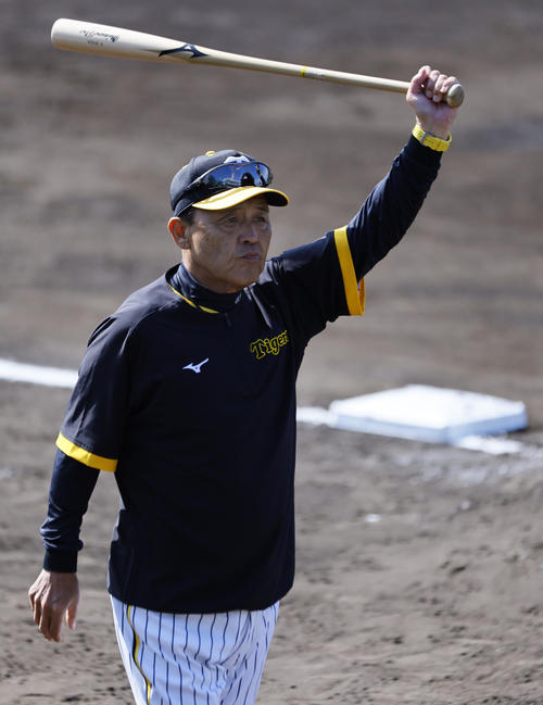 バットを手に練習を見つめる岡田監督（撮影・藤尾明華）