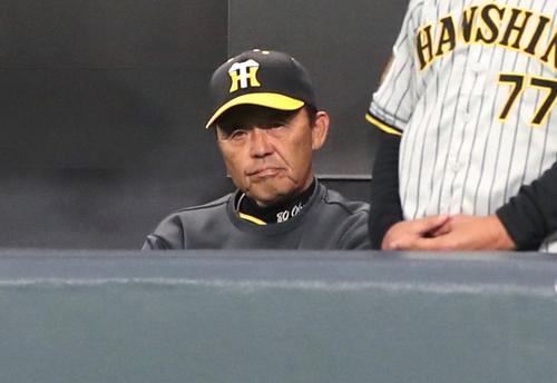 日本ハム対阪神　試合を見つめる岡田監督（撮影・黒川智章）