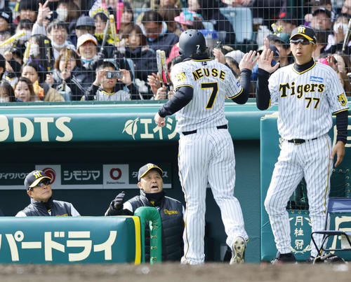阪神対ヤクルト　4回裏阪神1死二、三塁、小幡の中犠飛で生還したノイジーを出迎える岡田監督（左から2人目）（撮影・藤尾明華）