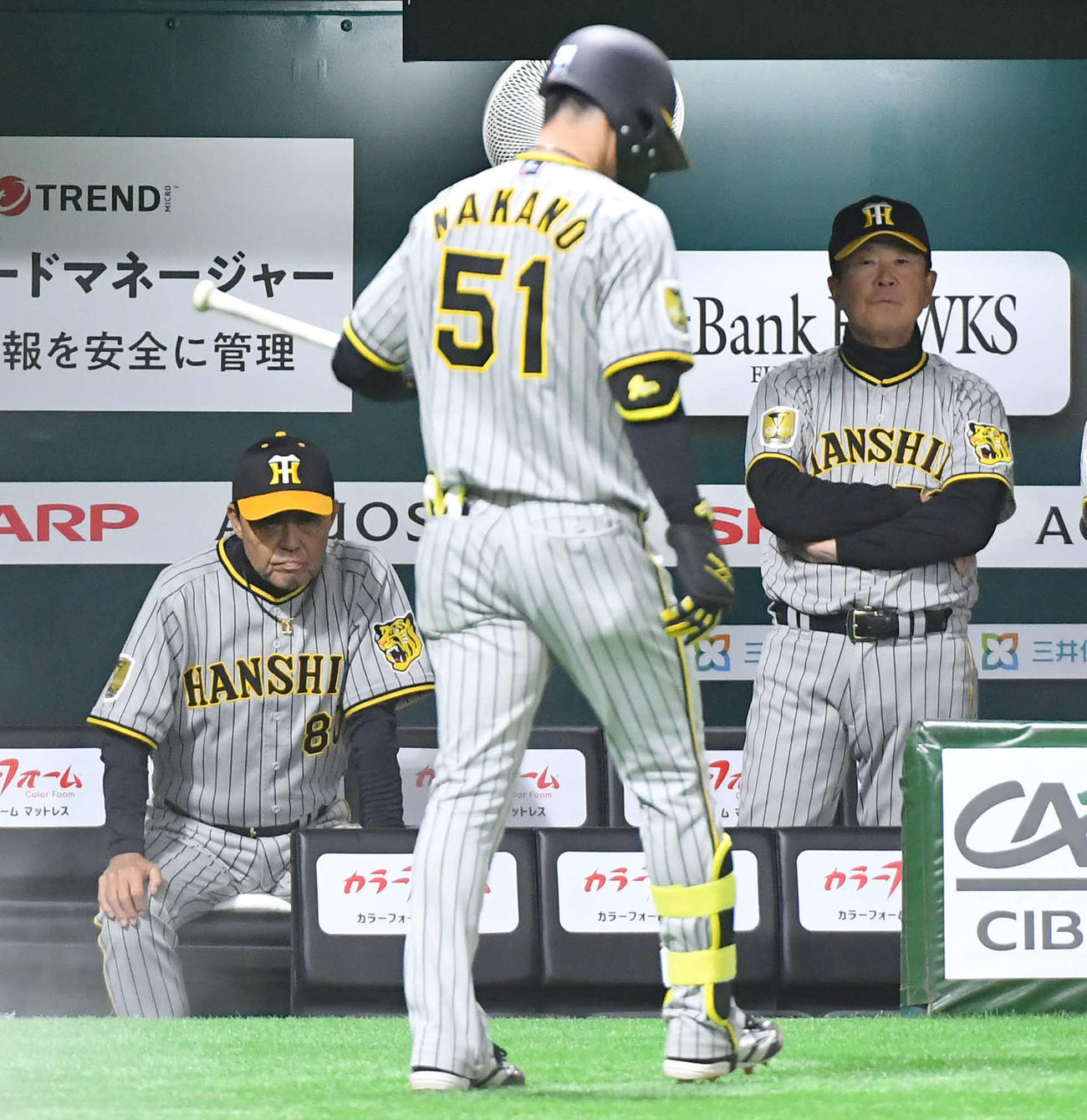 ソフトバンク対阪神　6回表阪神無死一塁、左飛に倒れた中野（手前）を厳しい表情で見つめる岡田監督（左）と平田ヘッドコーチ（撮影・岩下翔太）