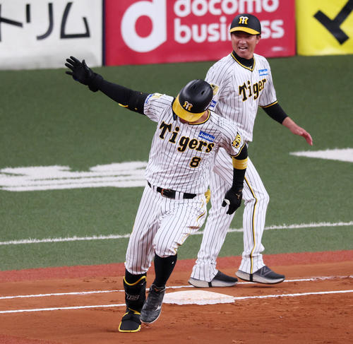 阪神対オリックス　6回裏阪神無死、佐藤輝は右越えソロ本塁打を放ちダイヤモンドを1周する（撮影・加藤哉）