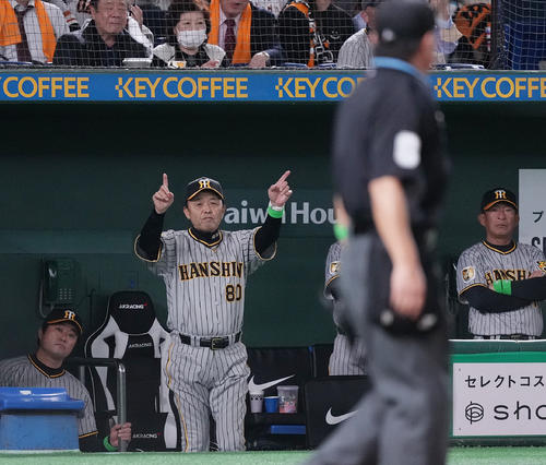巨人対阪神　5回裏巨人1死三塁、遊撃手木浪の野選で三塁走者吉川が生還した場面で、リクエストを行使する岡田監督（中央）（撮影・鈴木みどり）