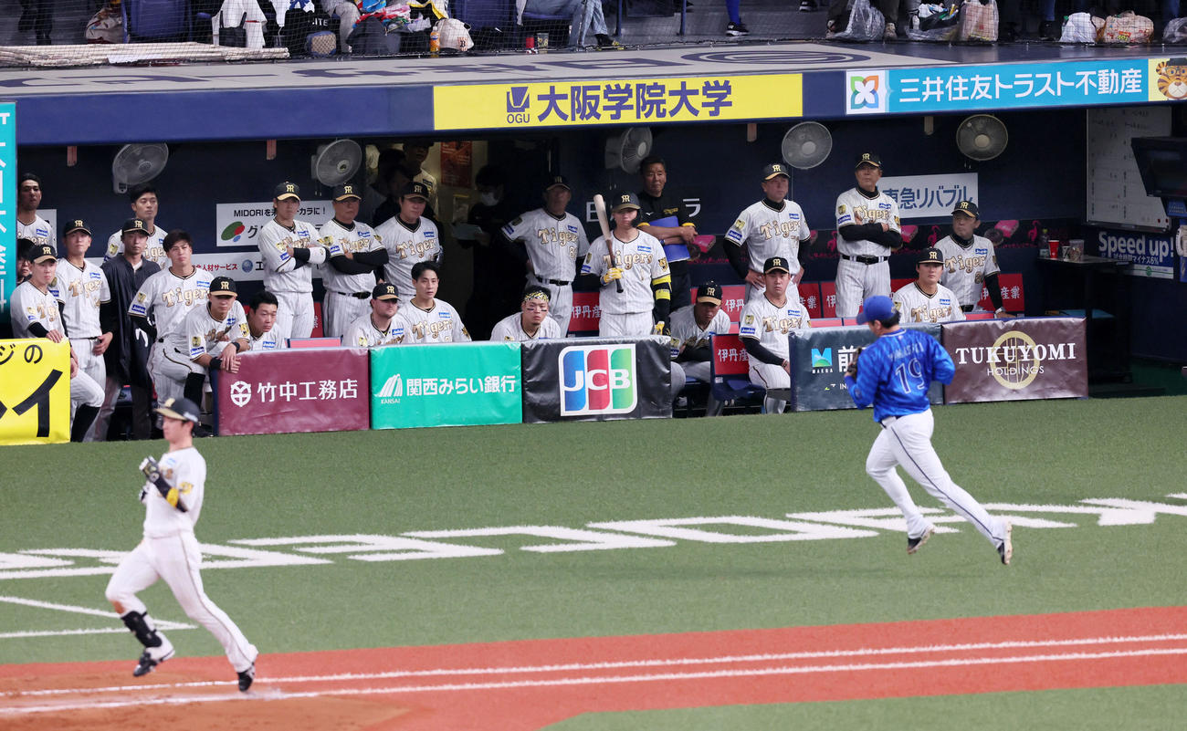 阪神対DeNA 9回裏阪神2死、近本の二ゴロで試合終了となりベンチで厳しい顔をみせる阪神の選手たち、右端は岡田監督（撮影・加藤哉）