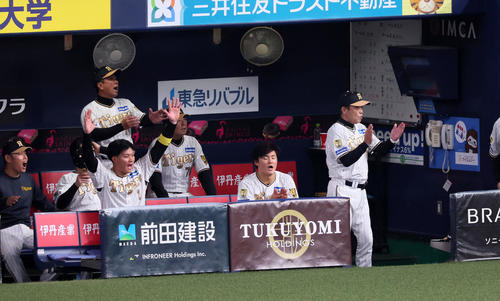 阪神対DeNA 4回裏阪神1死一、三塁、岡田監督は佐藤輝の本塁判定にリクエストし検証結果がセーフとなりベンチで拍手する（撮影・加藤哉）