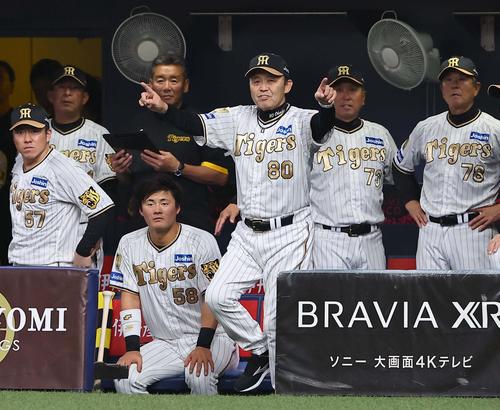 阪神対DeNA 4回裏阪神1死一、三塁、佐藤輝の本塁アウトの判定でリクエストを要求する岡田監督（撮影・上田博志）